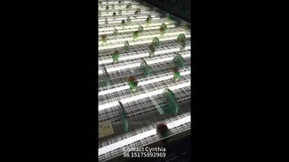 Various Styles Of Glass Laminated Mesh Available 