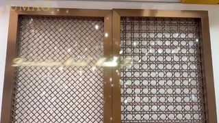 Actual Shooting Video of Metal Decorative Mesh