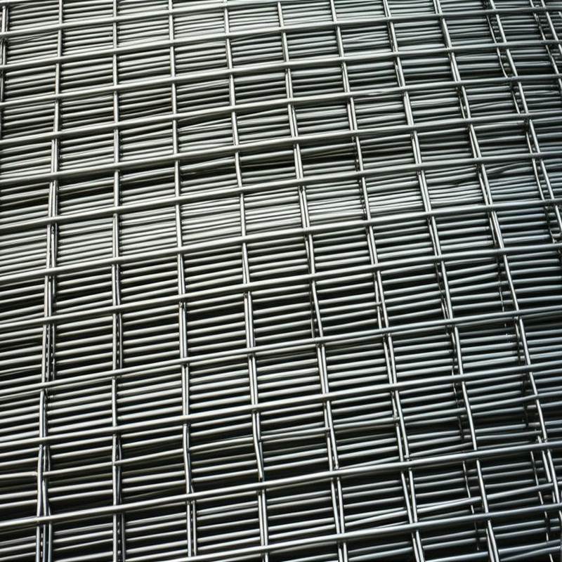Gallery image with a fresh perspective